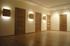 Faneruotos vidaus durys 2018 34