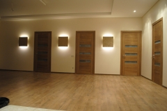 Faneruotos vidaus durys 2018 28